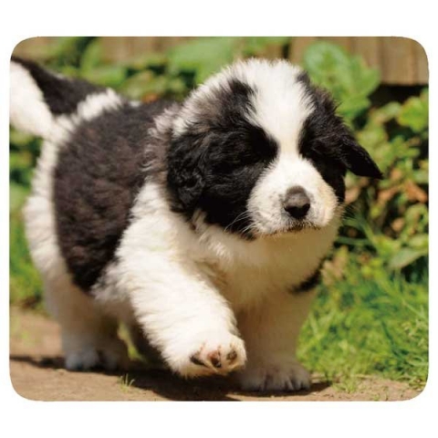 VIVANCO MOUSEPAD PETS 2